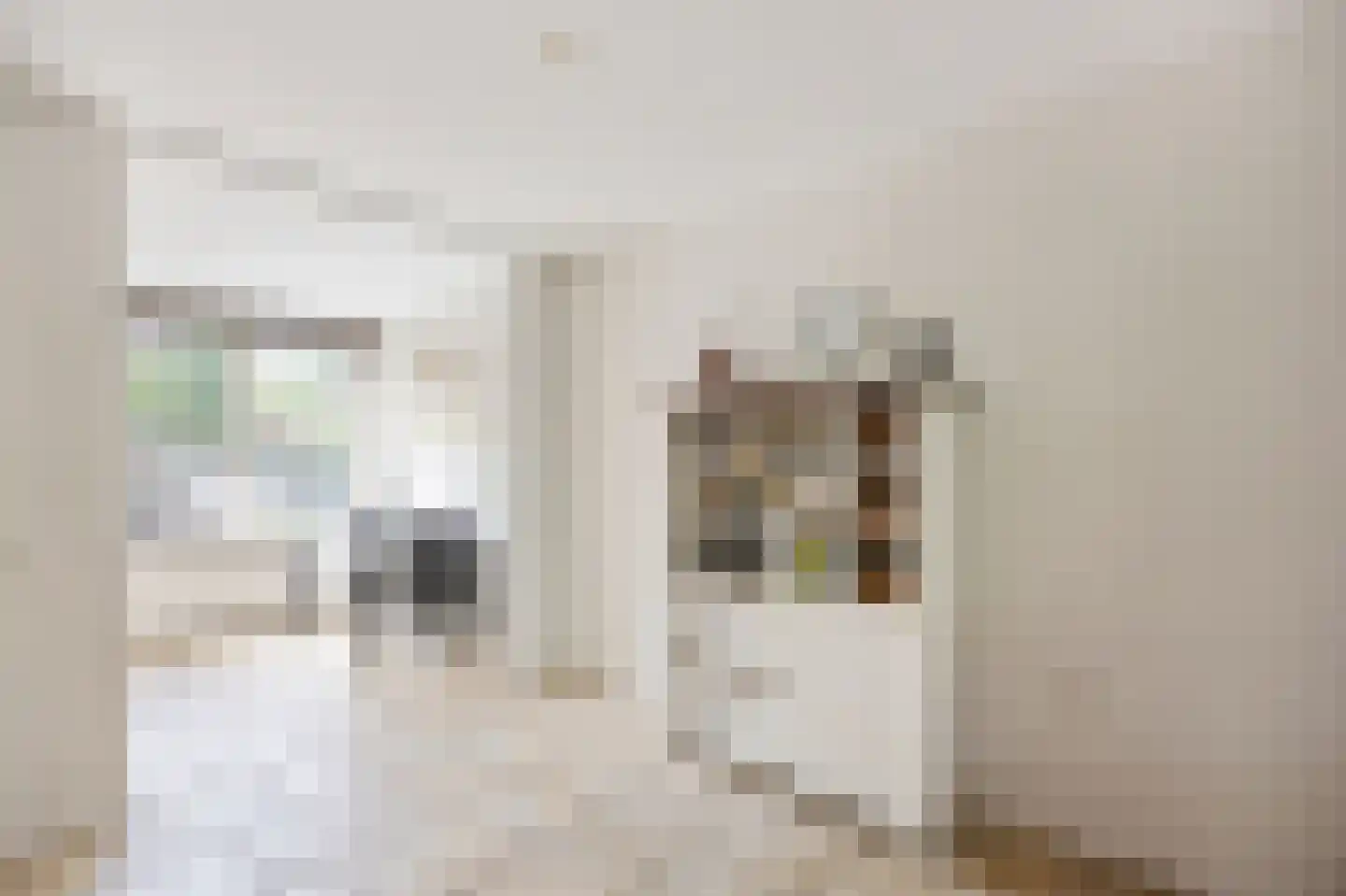 Peereboom 19 Melick thumbnail 13