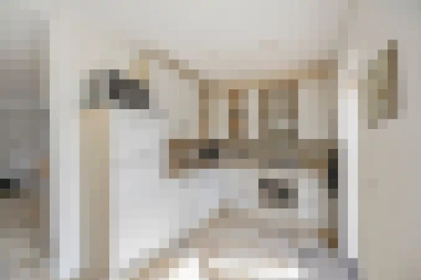 Peereboom 19 Melick thumbnail 16