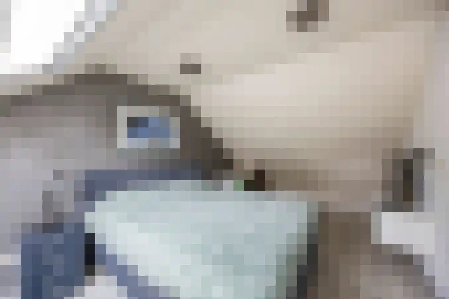 Peereboom 19 Melick thumbnail 24