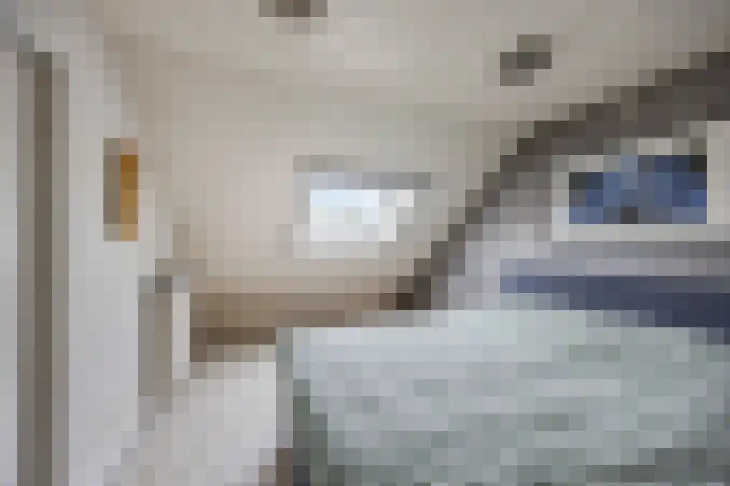 Peereboom 19 Melick thumbnail 25