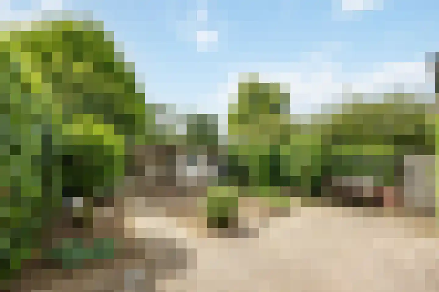 Peereboom 19 Melick thumbnail 30