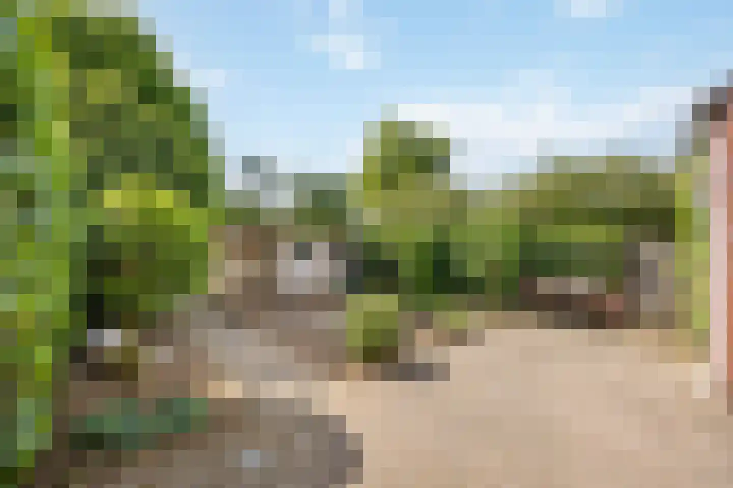 Peereboom 19 Melick thumbnail 34