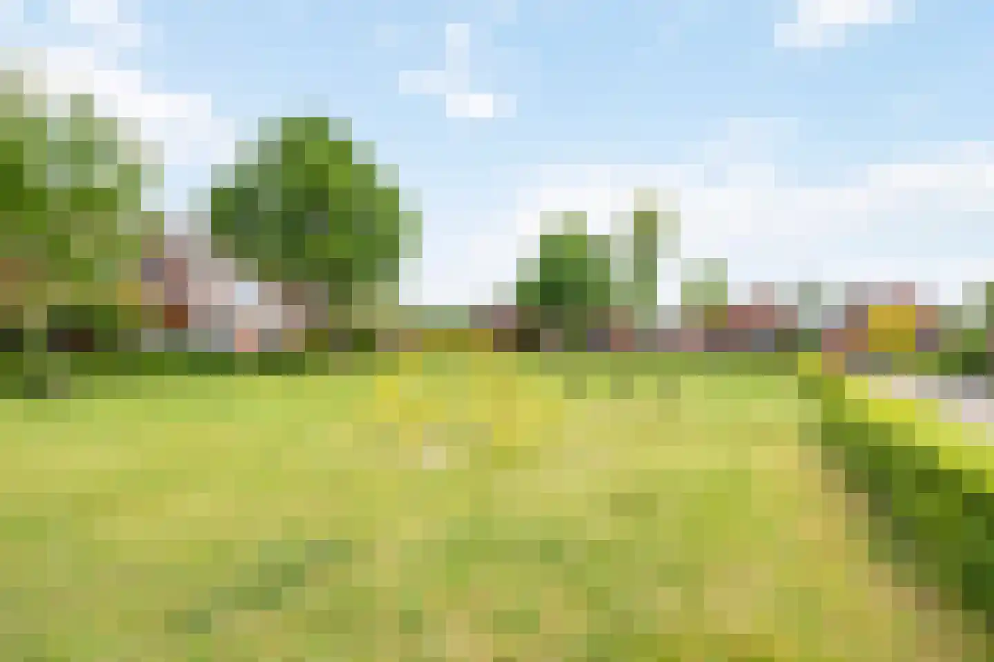 Peereboom 19 Melick thumbnail 38