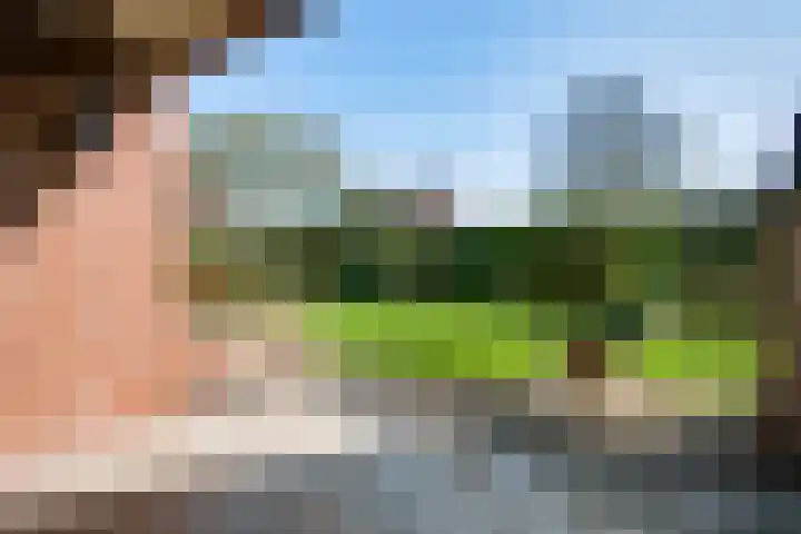 Peereboom 24 Melick thumbnail 36