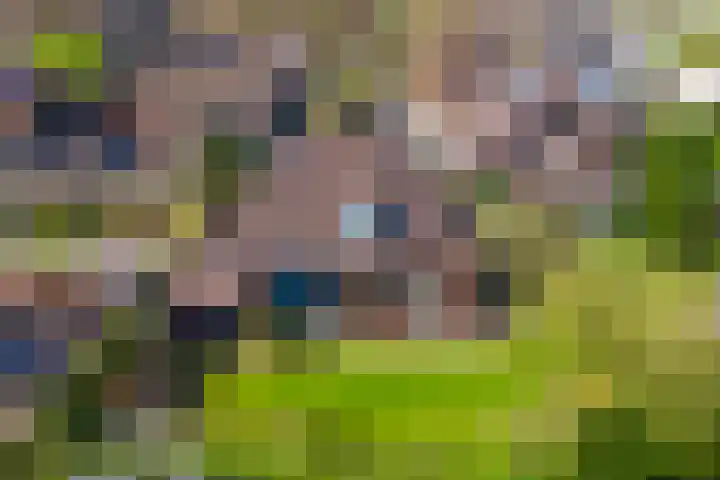 Peereboom 24 Melick thumbnail 37
