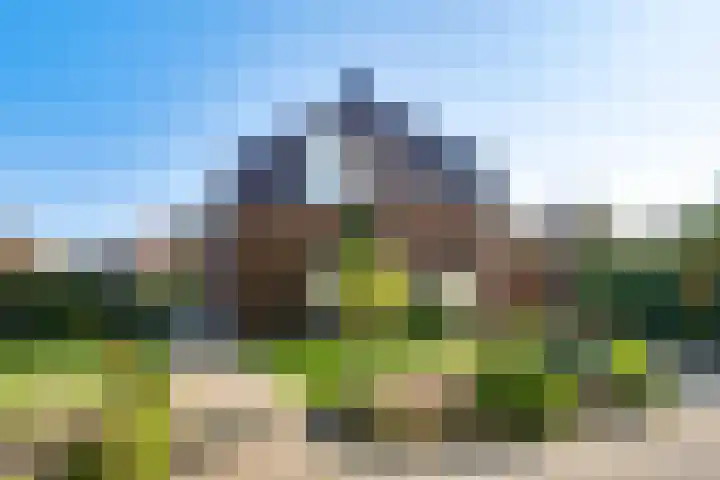 Peereboom 24 Melick thumbnail 4