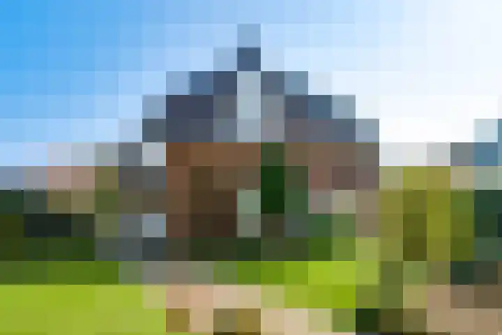 Peereboom 24 Melick thumbnail 41