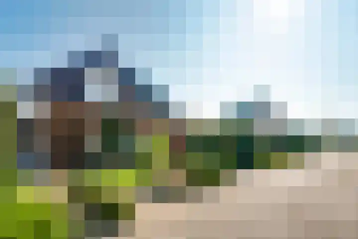 Peereboom 24 Melick thumbnail 42