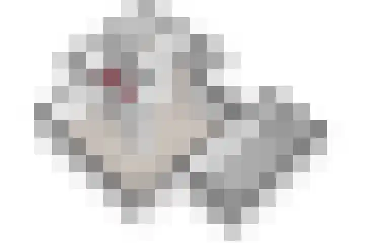 Peereboom 24 Melick thumbnail 48