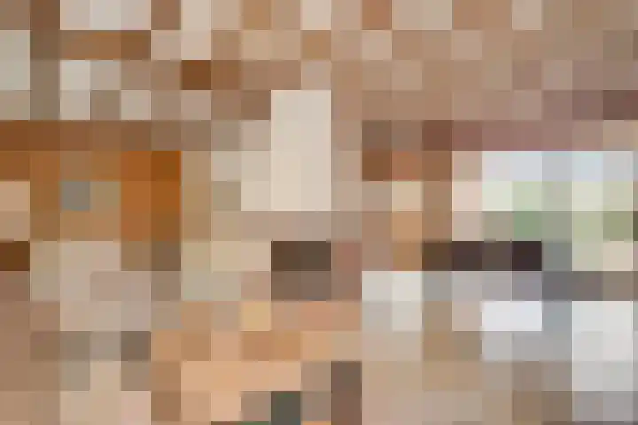 Peereboom 24 Melick thumbnail 5