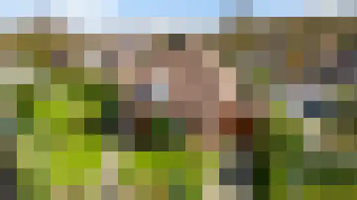 Peereboom 24 Melick thumbnail 53