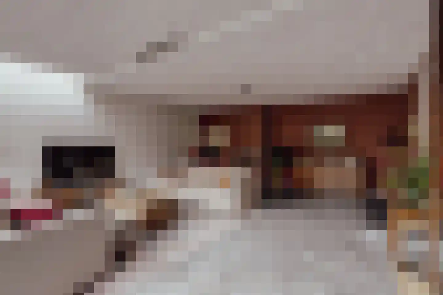 Peerenboom 7 Hank thumbnail 11