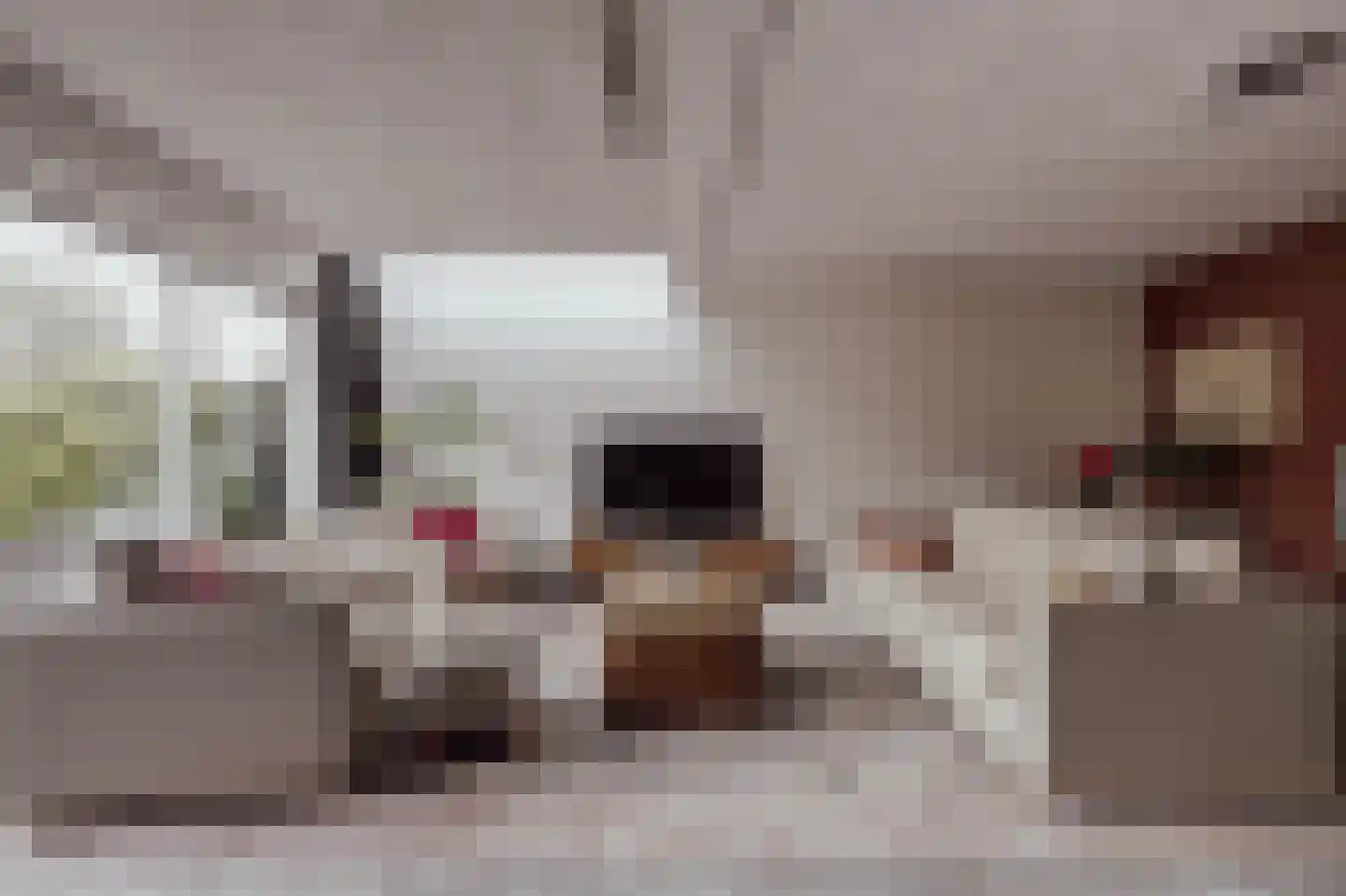 Peerenboom 7 Hank thumbnail 12
