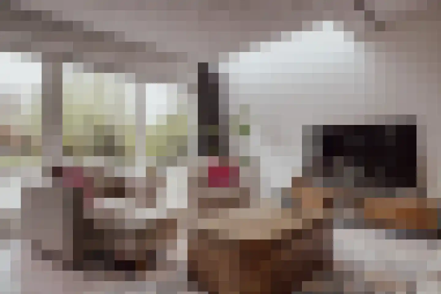 Peerenboom 7 Hank thumbnail 13