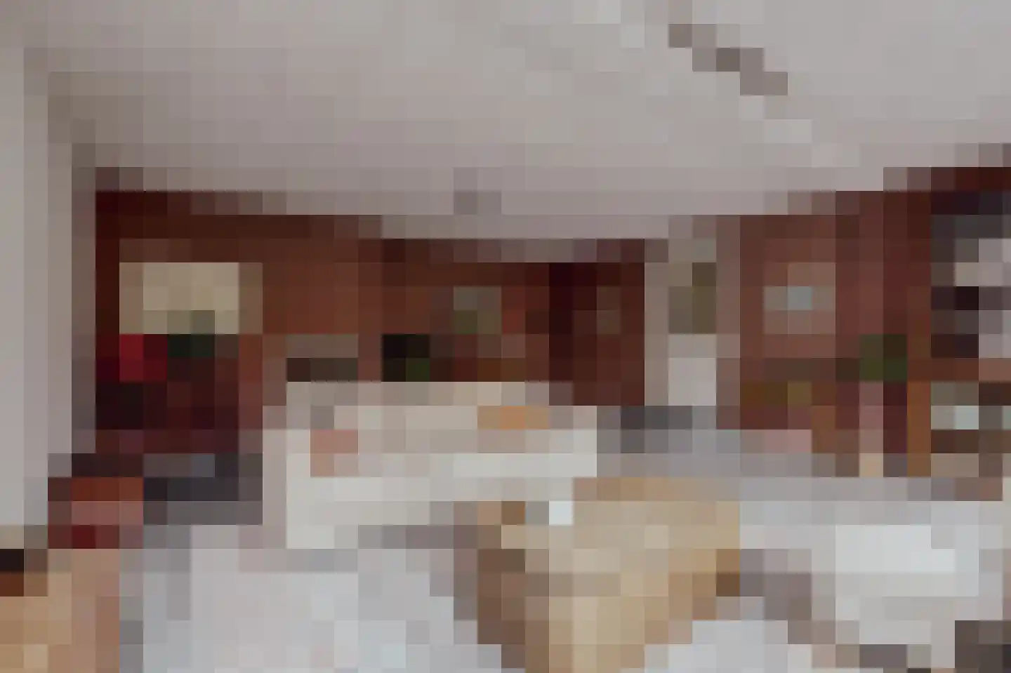 Peerenboom 7 Hank thumbnail 14