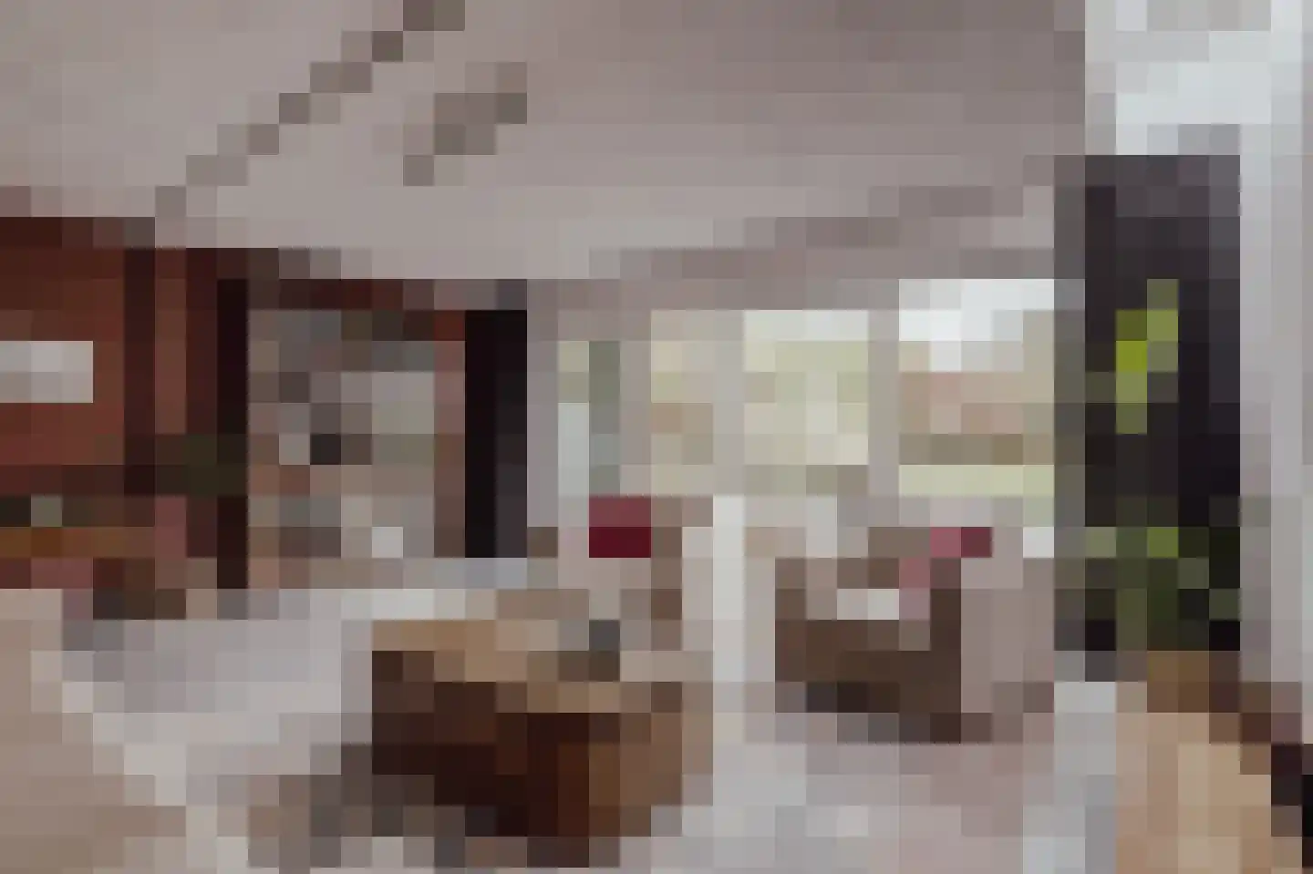 Peerenboom 7 Hank thumbnail 15