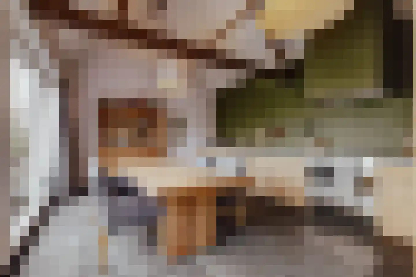Peerenboom 7 Hank thumbnail 17