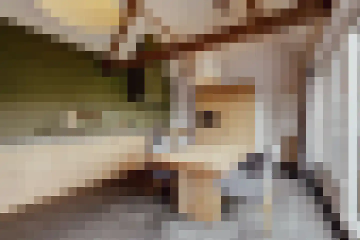 Peerenboom 7 Hank thumbnail 21