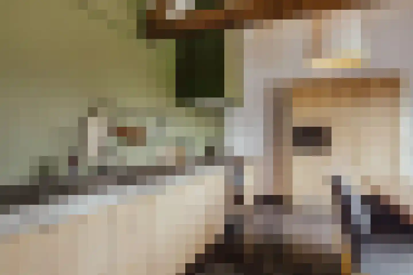 Peerenboom 7 Hank thumbnail 22