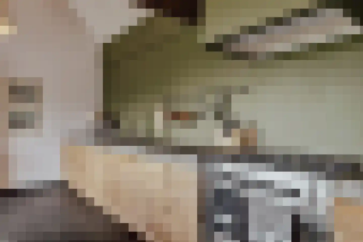 Peerenboom 7 Hank thumbnail 23