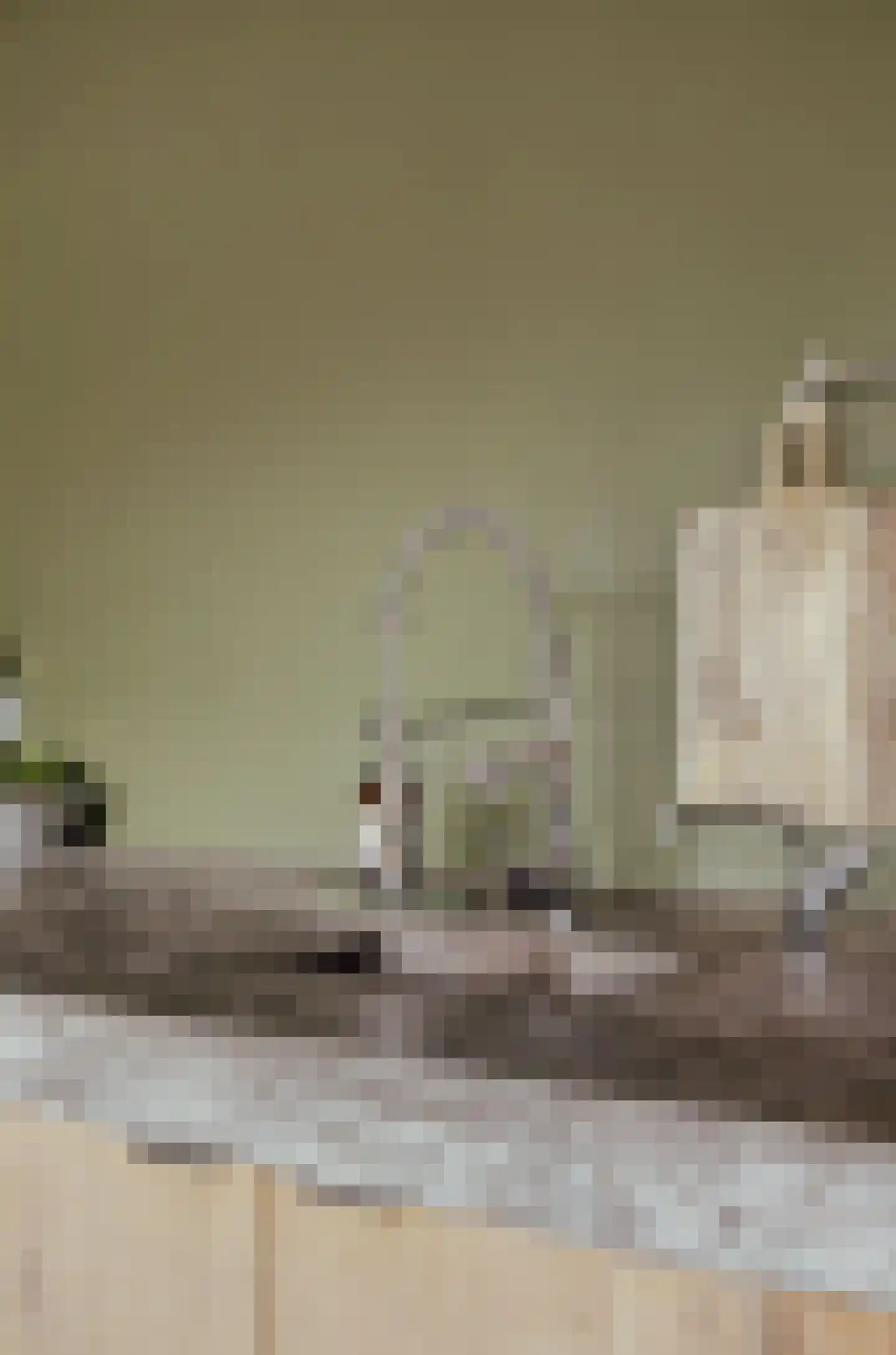Peerenboom 7 Hank thumbnail 24