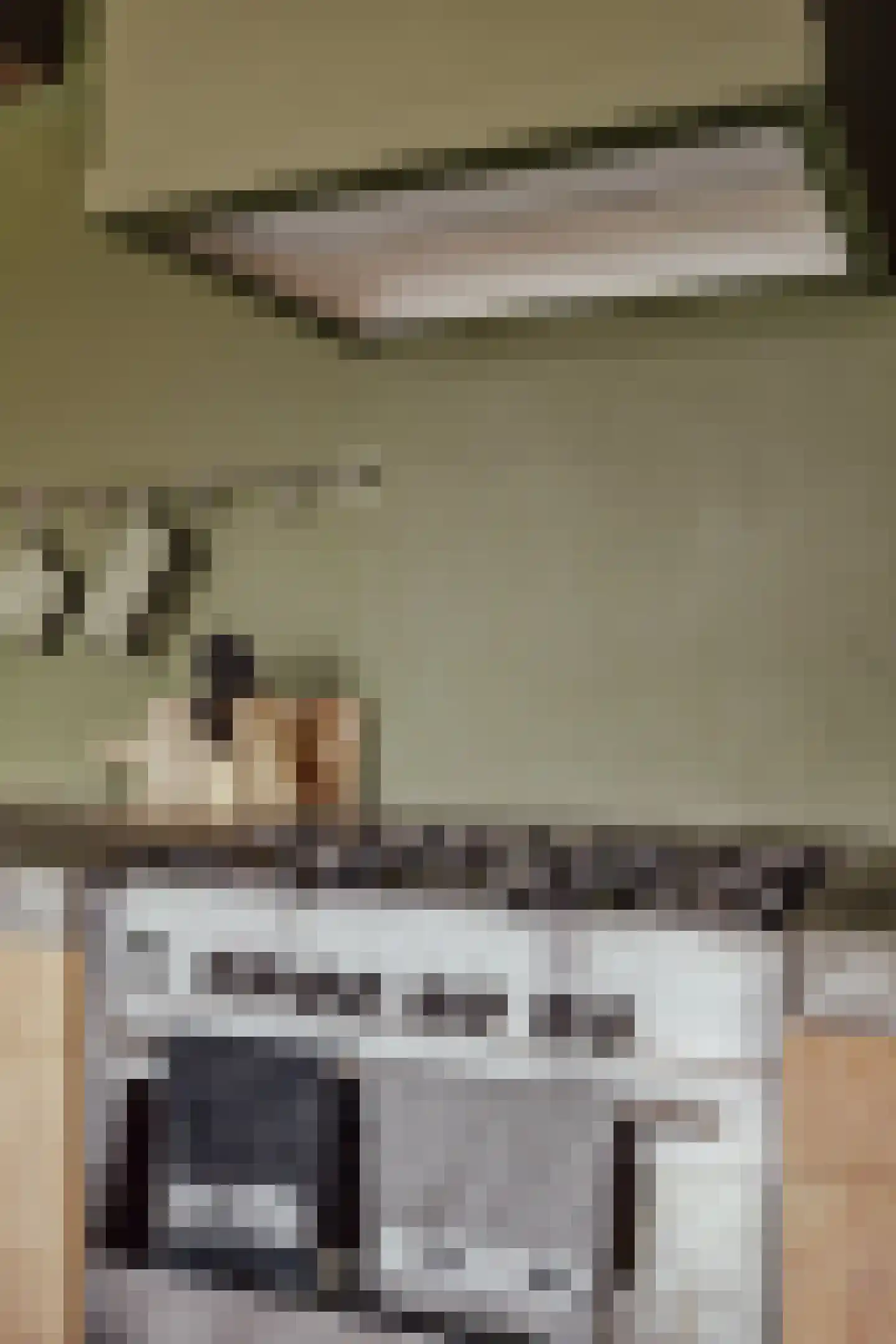 Peerenboom 7 Hank thumbnail 25