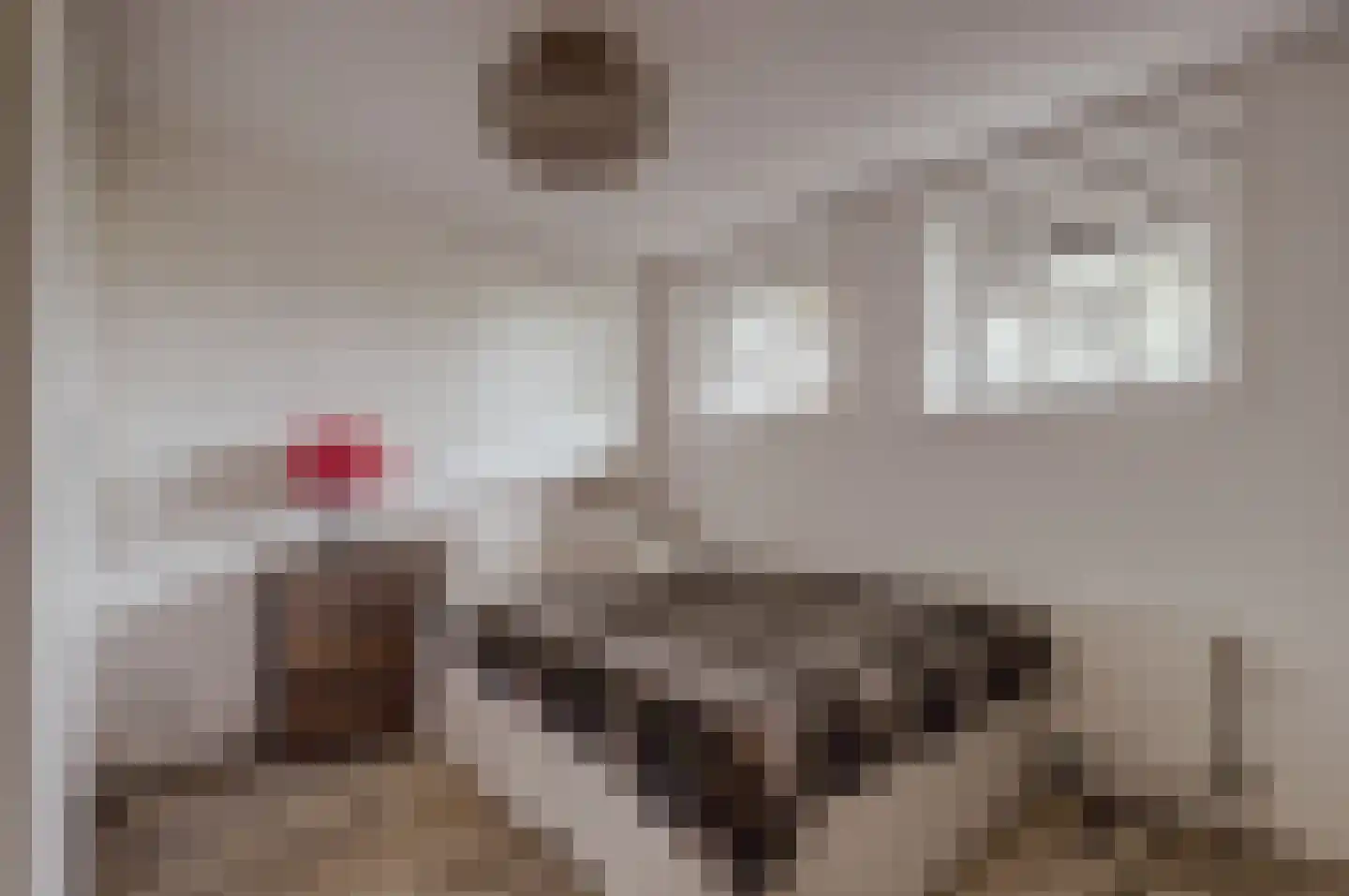 Peerenboom 7 Hank thumbnail 26