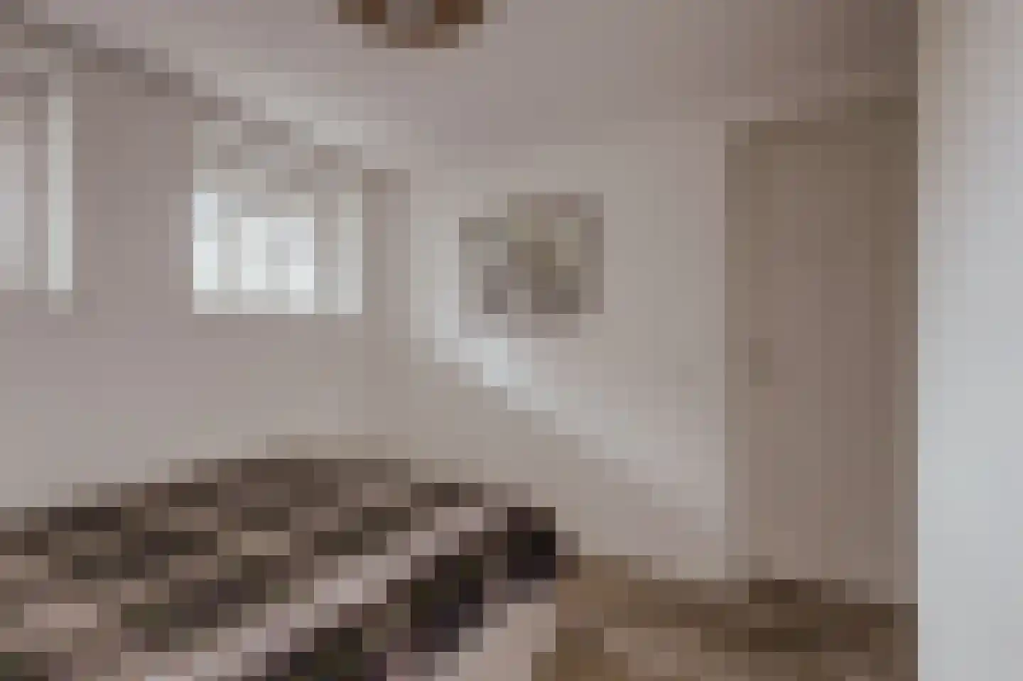 Peerenboom 7 Hank thumbnail 27
