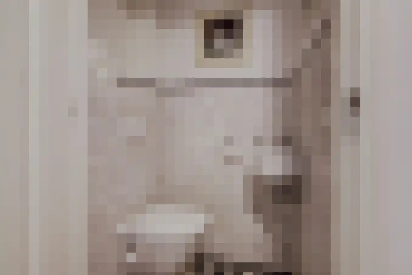 Peerenboom 7 Hank thumbnail 29