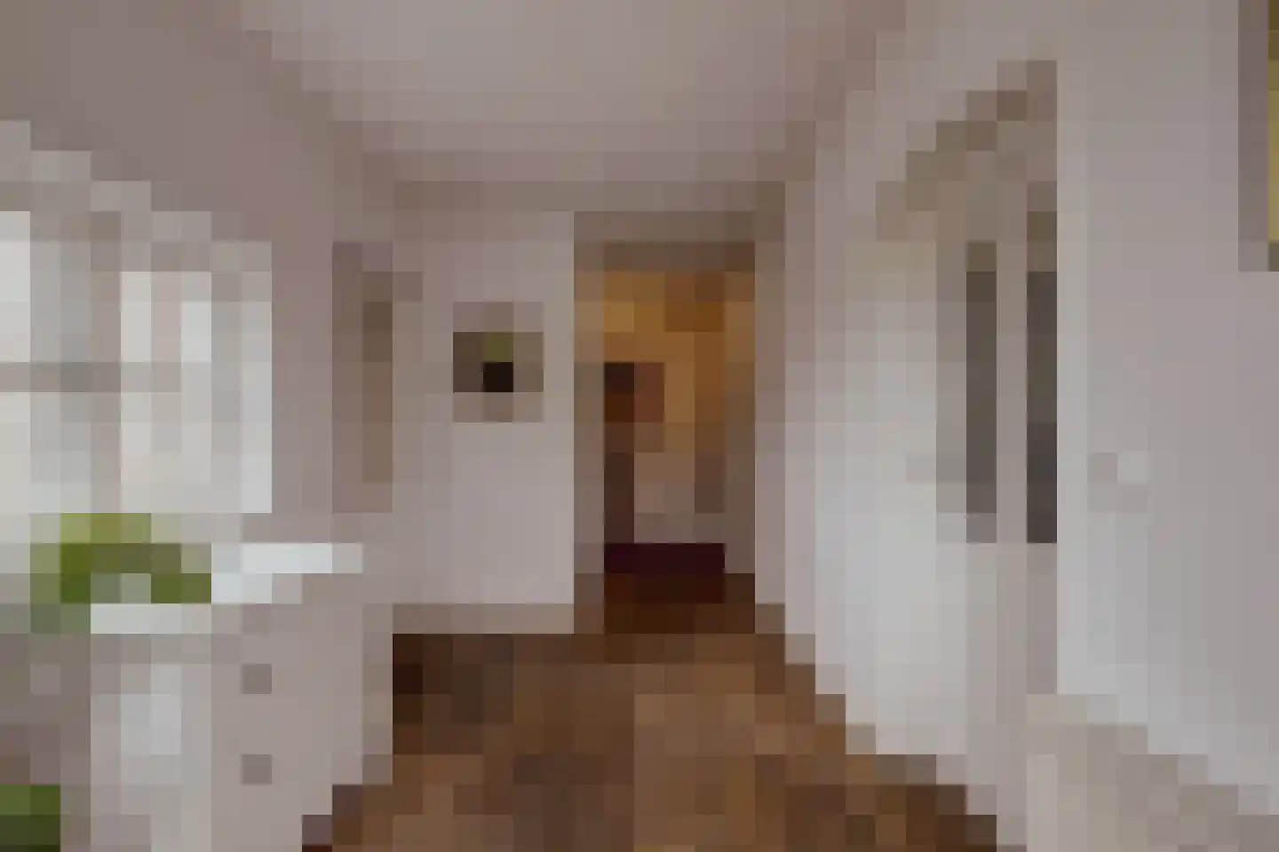 Peerenboom 7 Hank thumbnail 32
