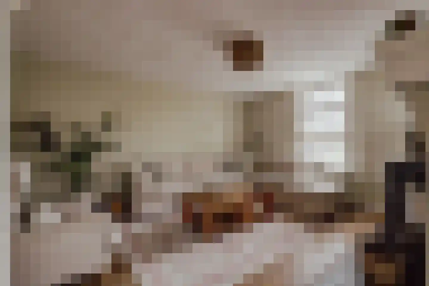 Peerenboom 7 Hank thumbnail 35