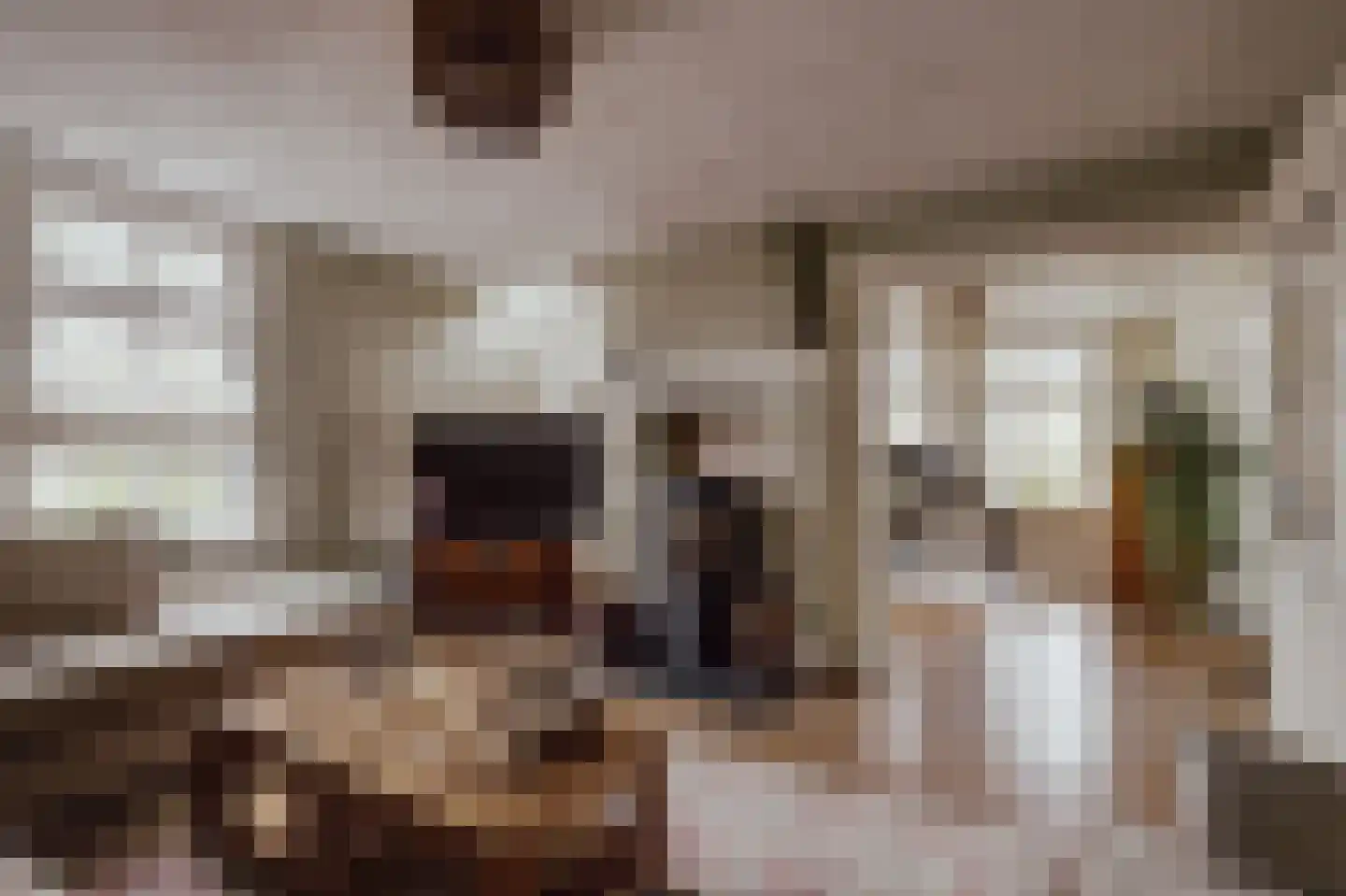 Peerenboom 7 Hank thumbnail 36