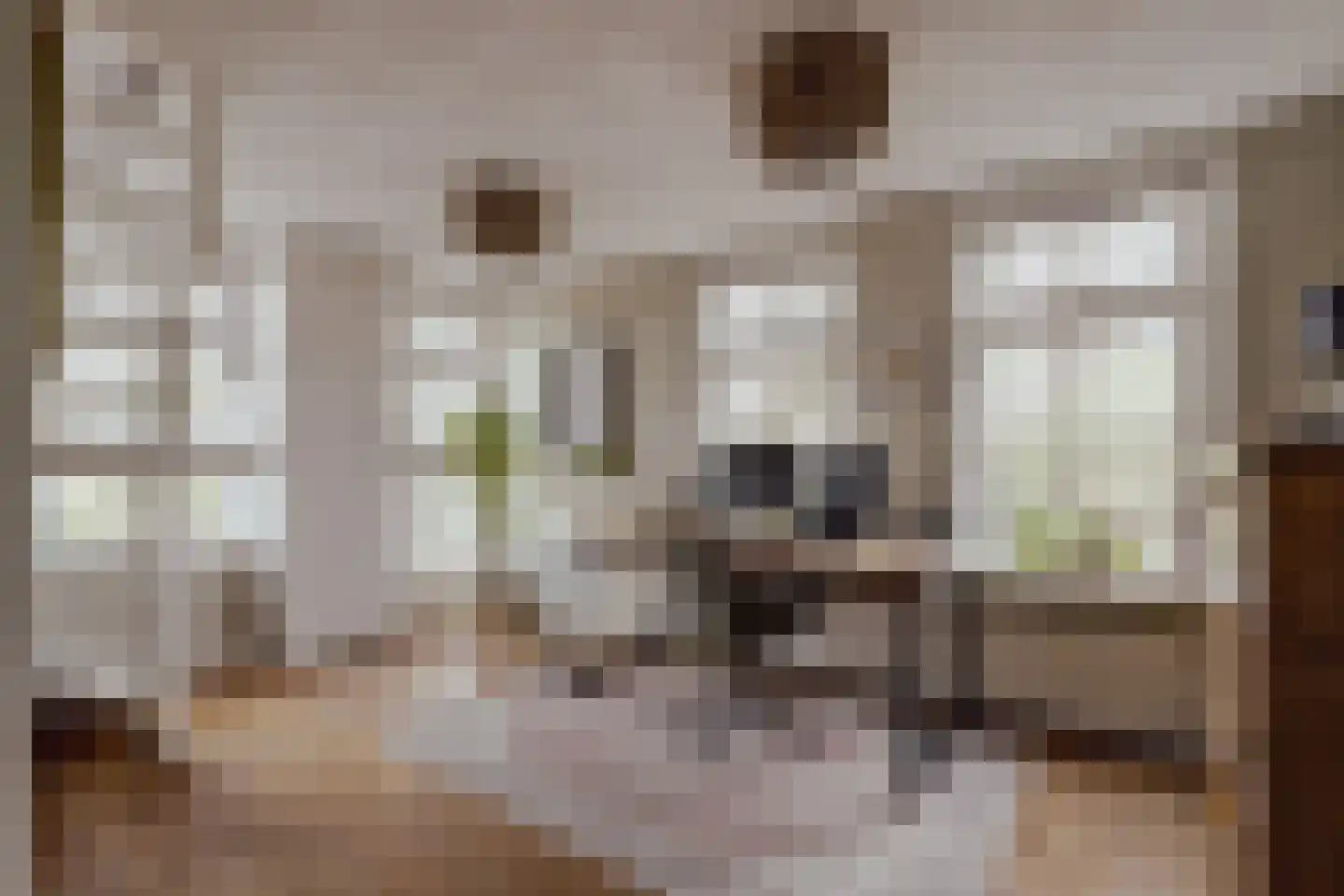 Peerenboom 7 Hank thumbnail 39