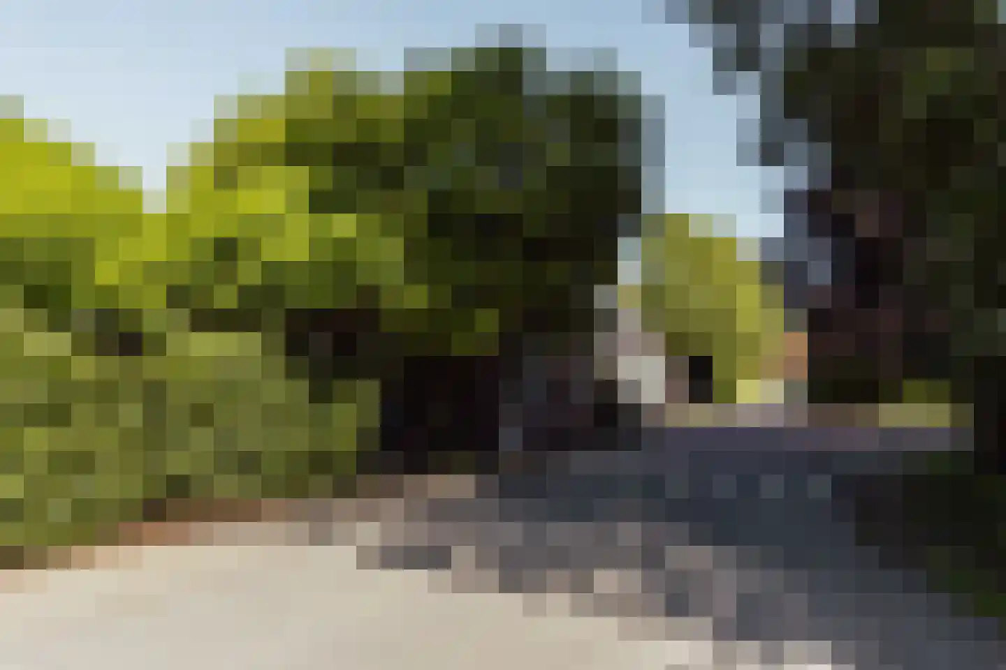 Peerenboom 7 Hank thumbnail 4
