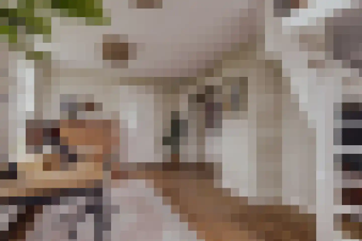 Peerenboom 7 Hank thumbnail 40
