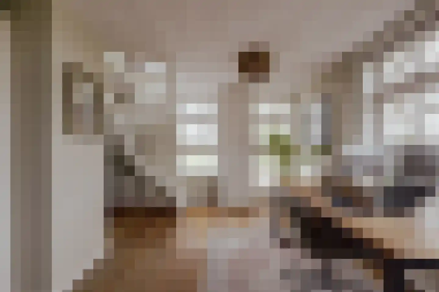 Peerenboom 7 Hank thumbnail 41