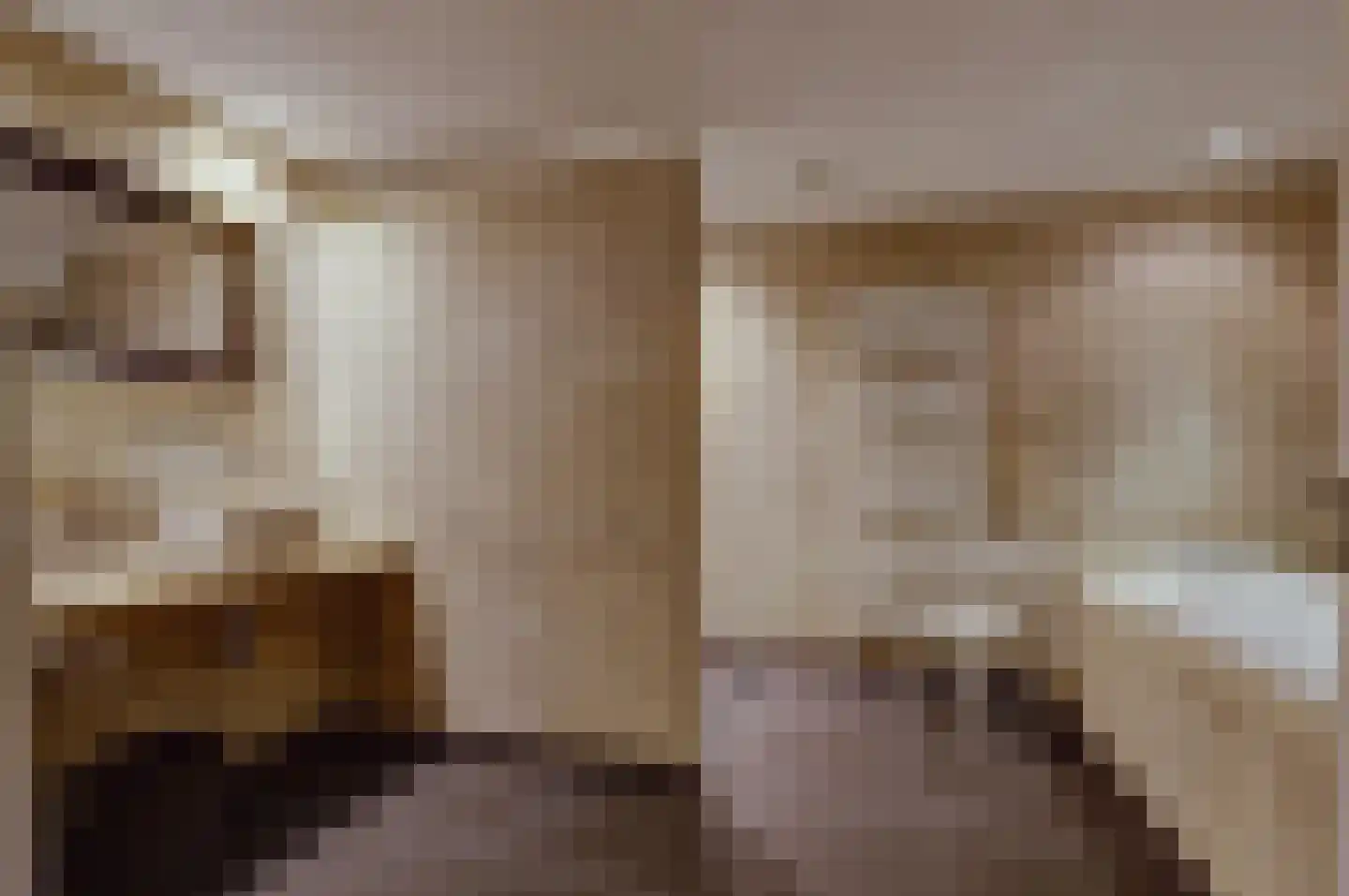 Peerenboom 7 Hank thumbnail 42