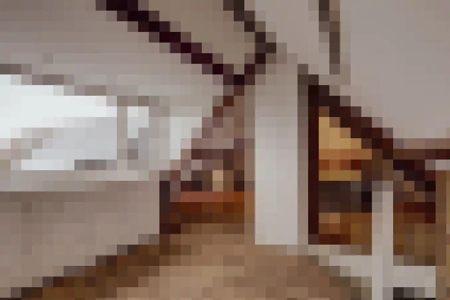 Peerenboom 7 Hank thumbnail 47