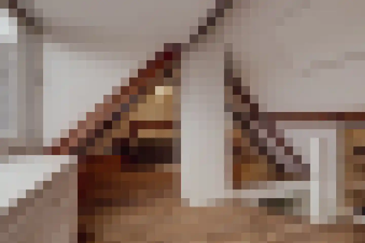 Peerenboom 7 Hank thumbnail 48