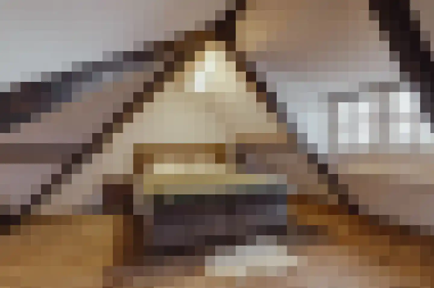 Peerenboom 7 Hank thumbnail 49