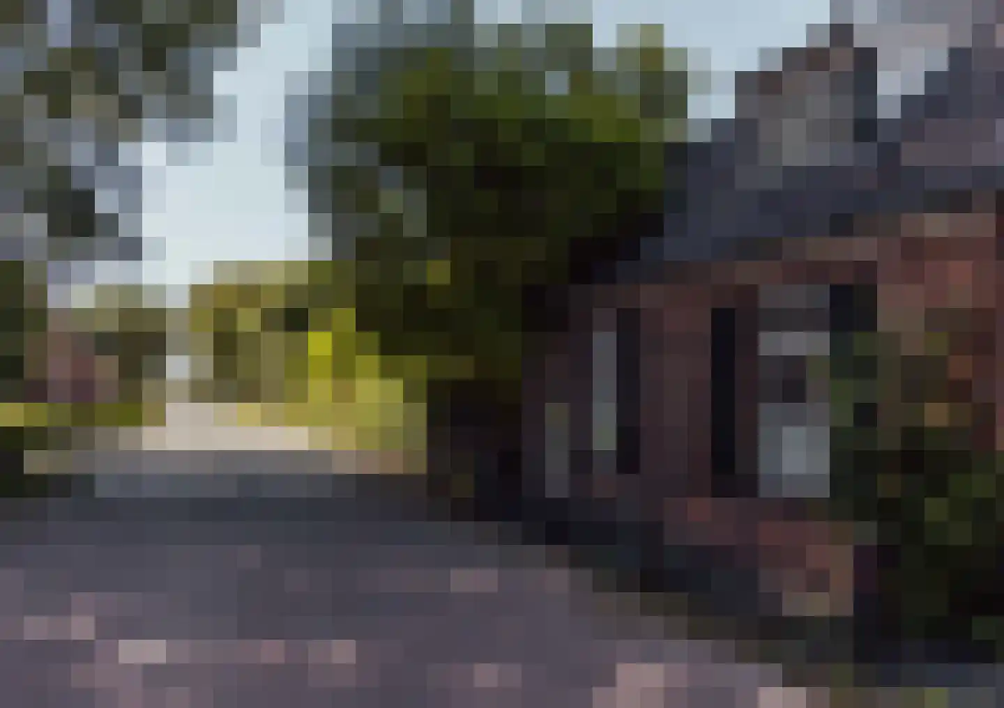 Peerenboom 7 Hank thumbnail 5