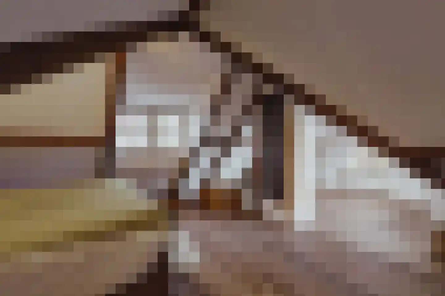 Peerenboom 7 Hank thumbnail 50