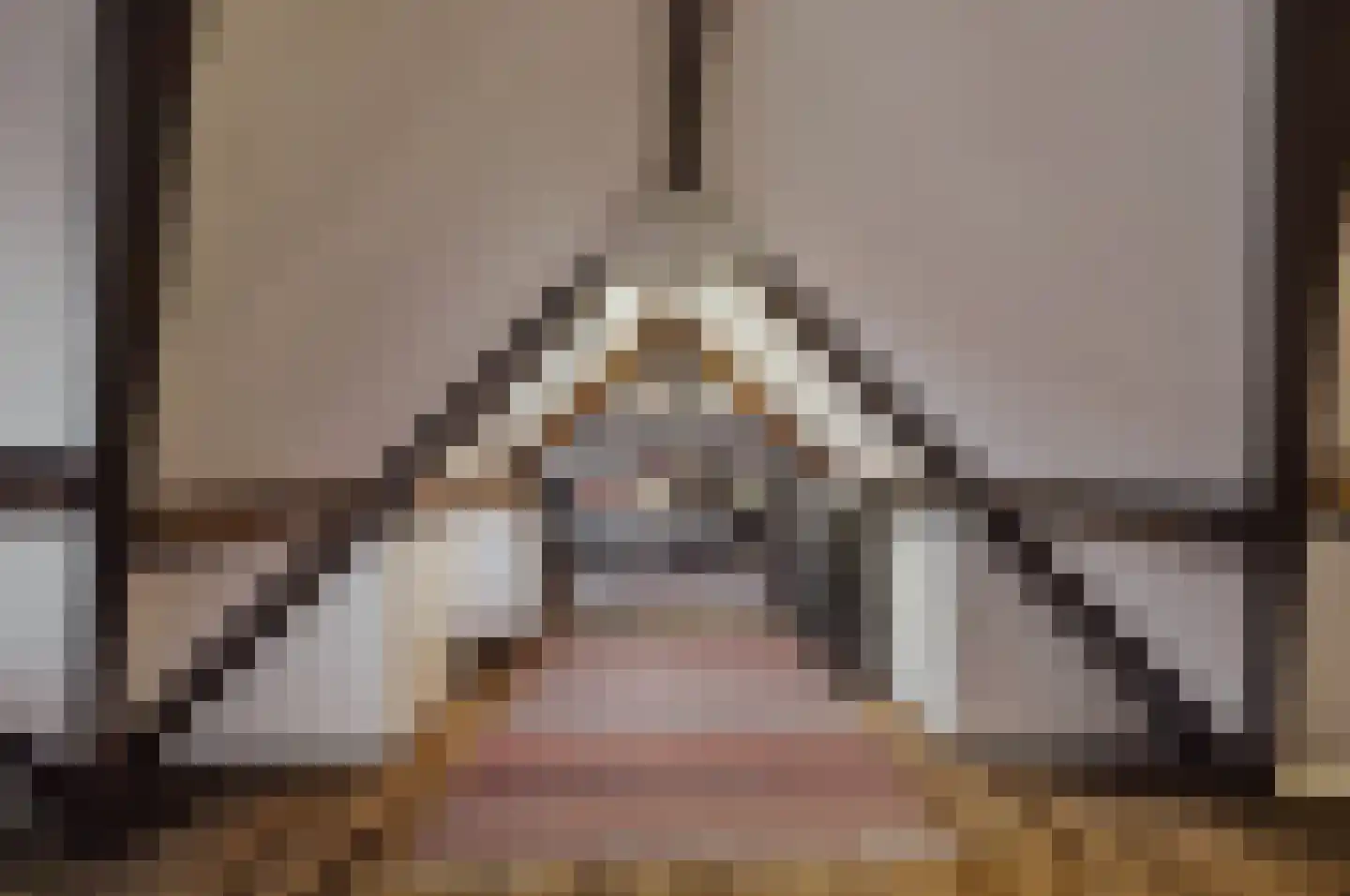 Peerenboom 7 Hank thumbnail 51
