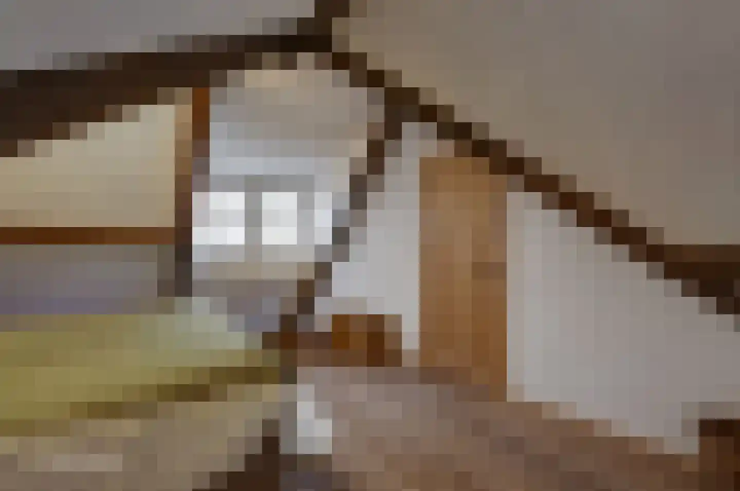 Peerenboom 7 Hank thumbnail 52