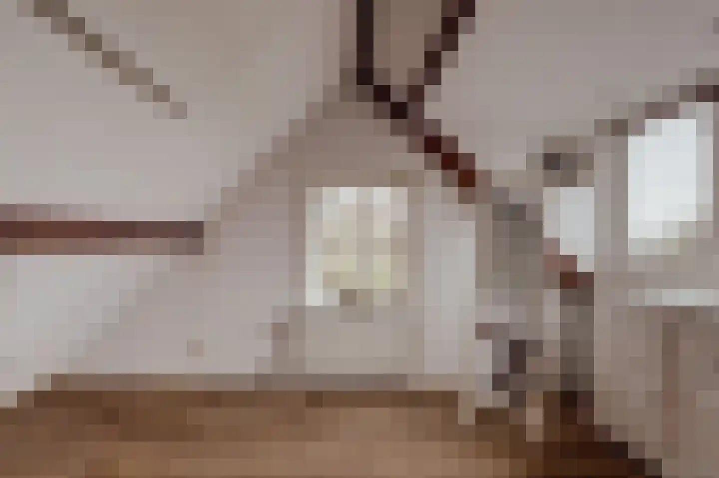 Peerenboom 7 Hank thumbnail 52