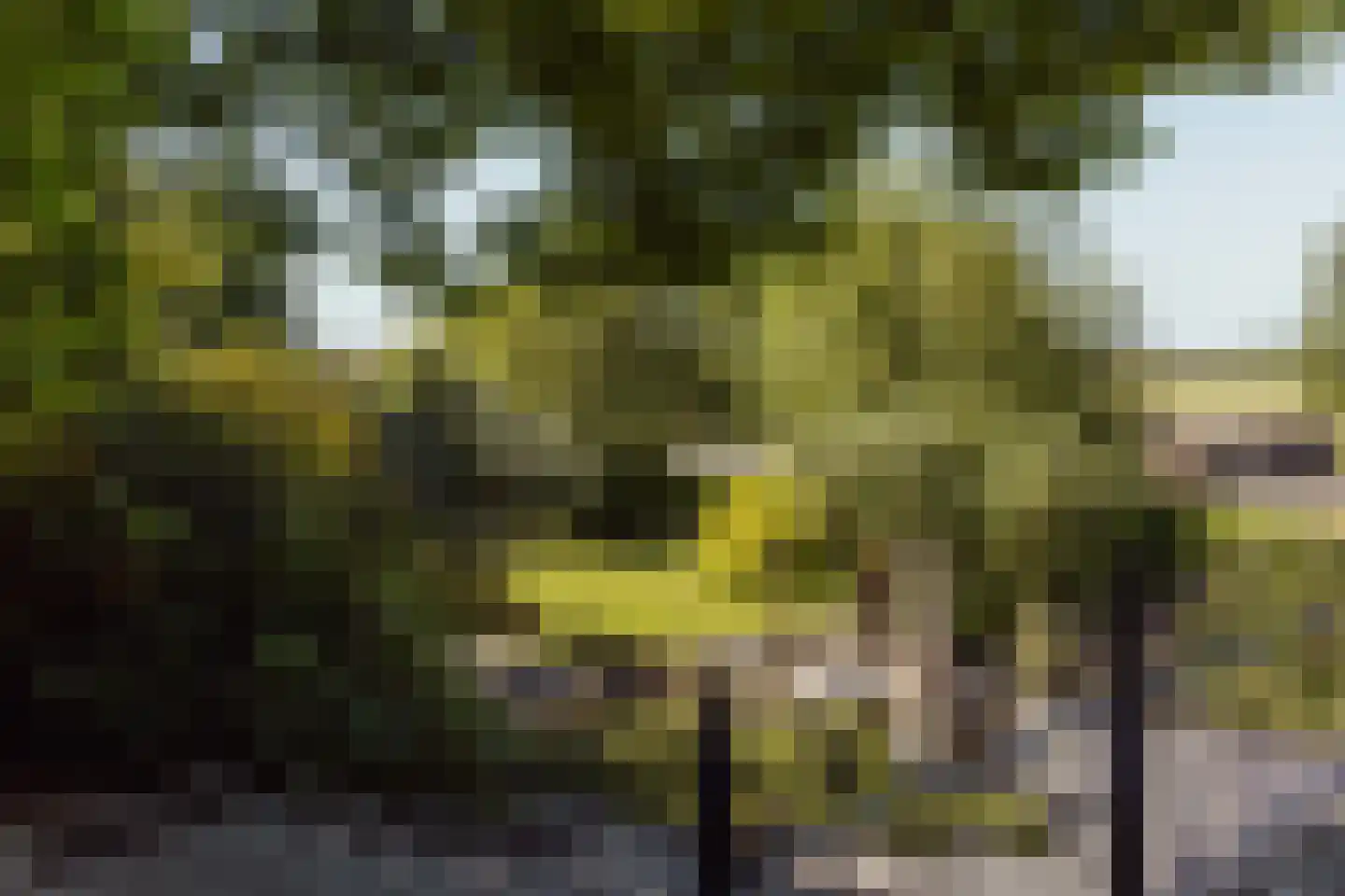 Peerenboom 7 Hank thumbnail 55