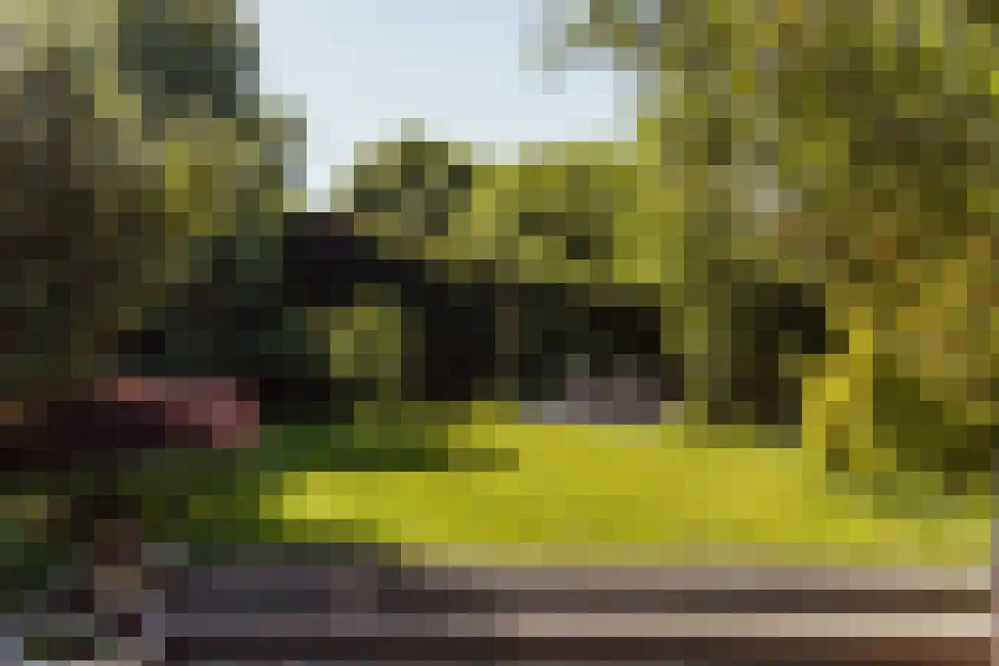 Peerenboom 7 Hank thumbnail 58