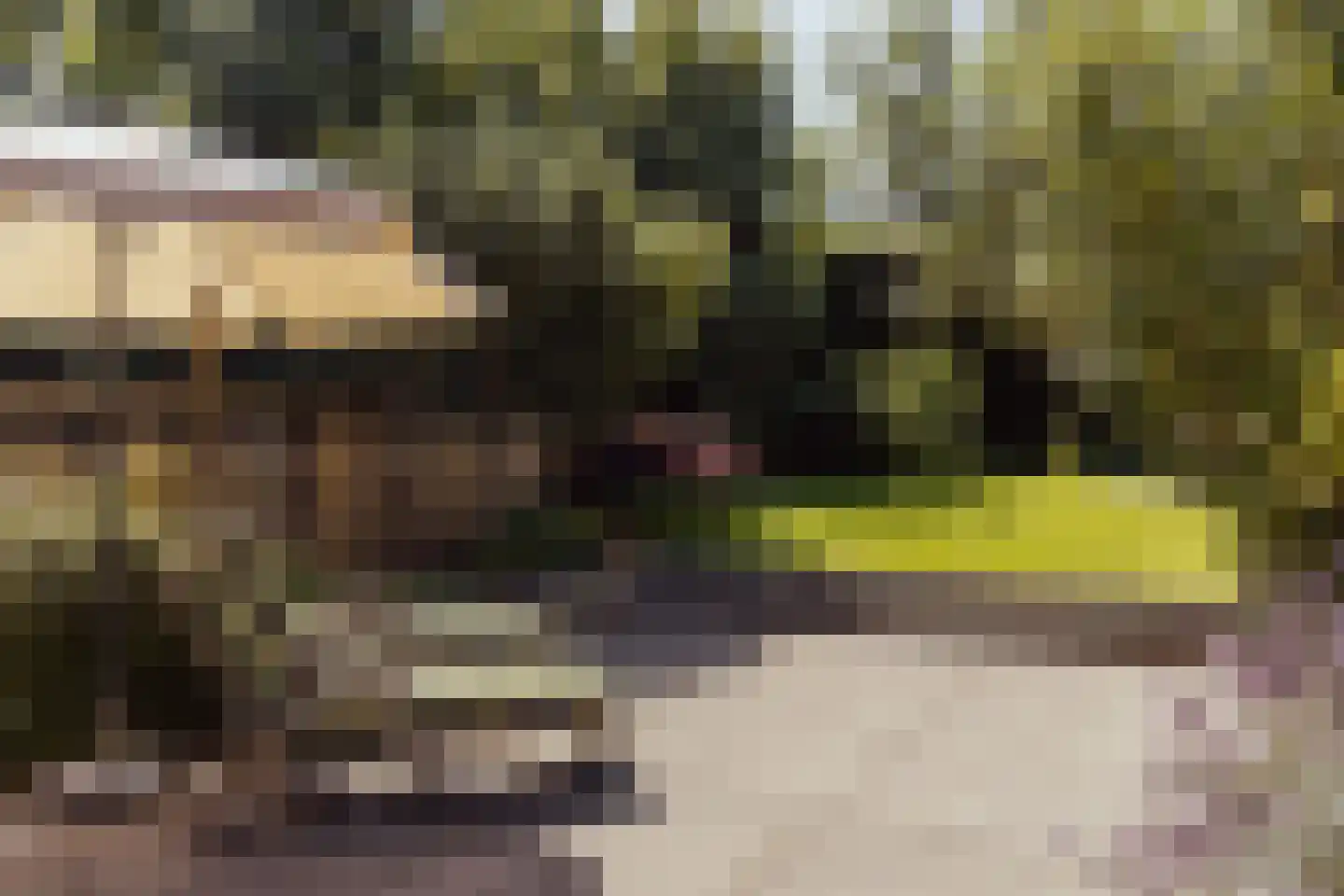 Peerenboom 7 Hank thumbnail 59