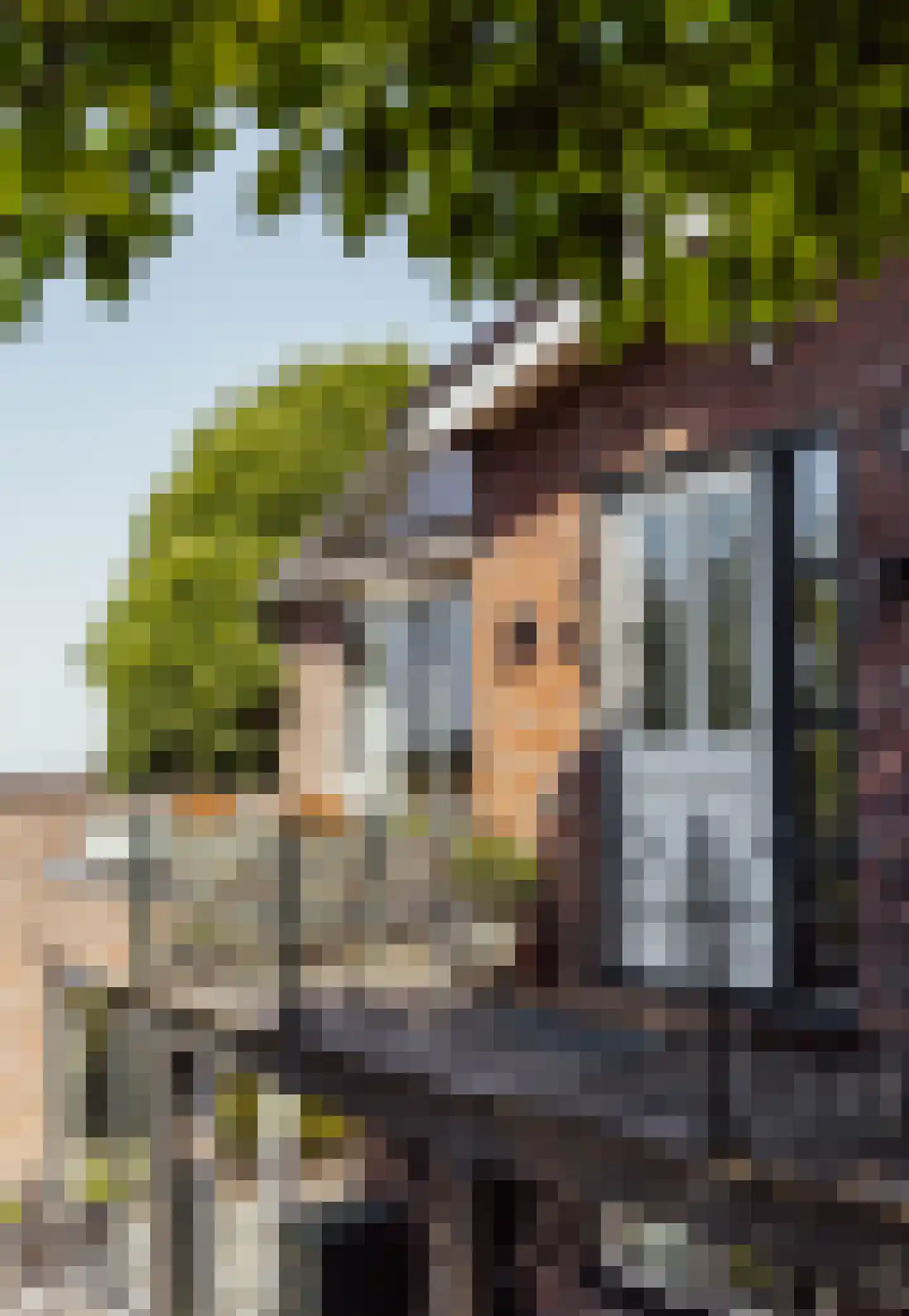 Peerenboom 7 Hank thumbnail 6