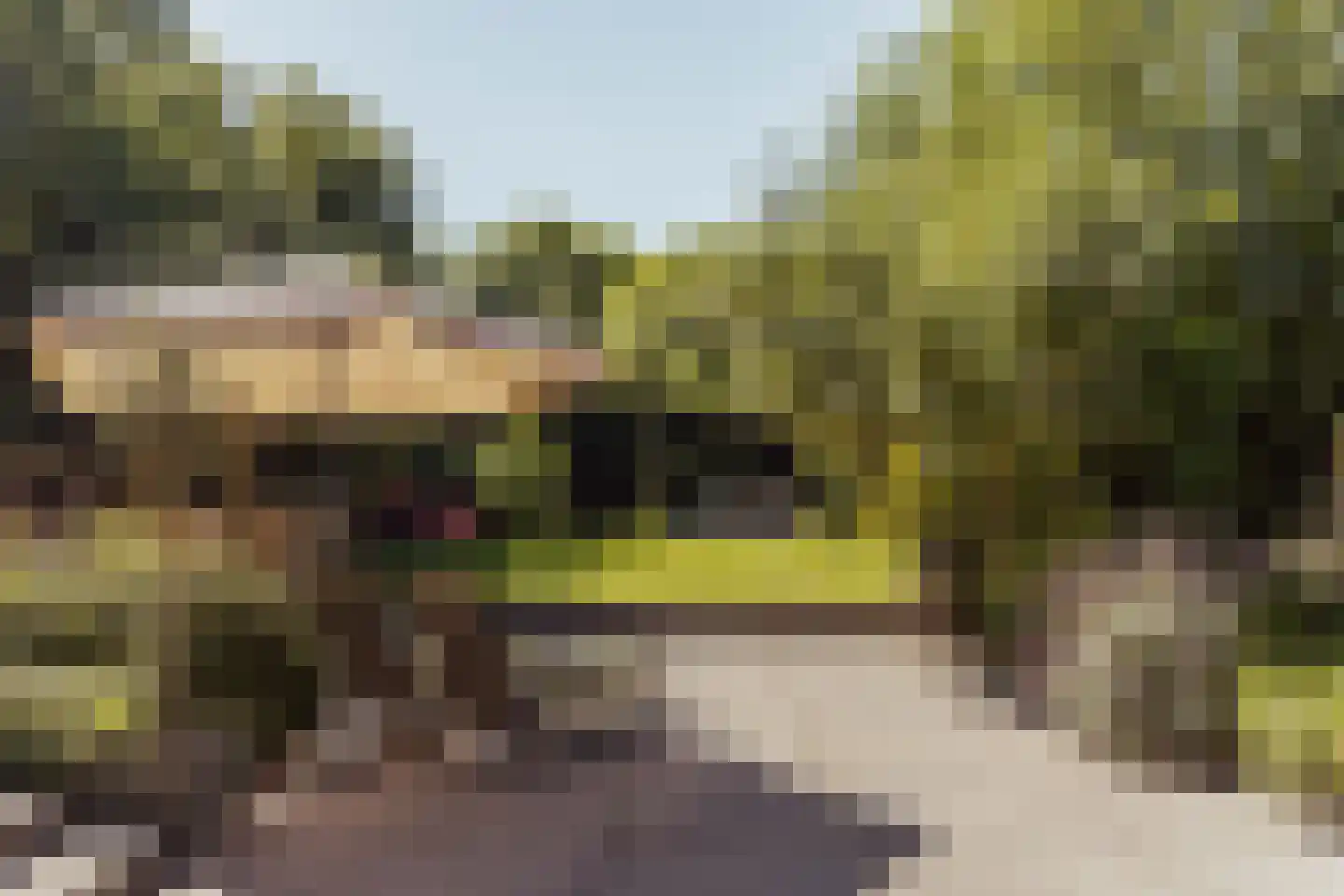 Peerenboom 7 Hank thumbnail 60